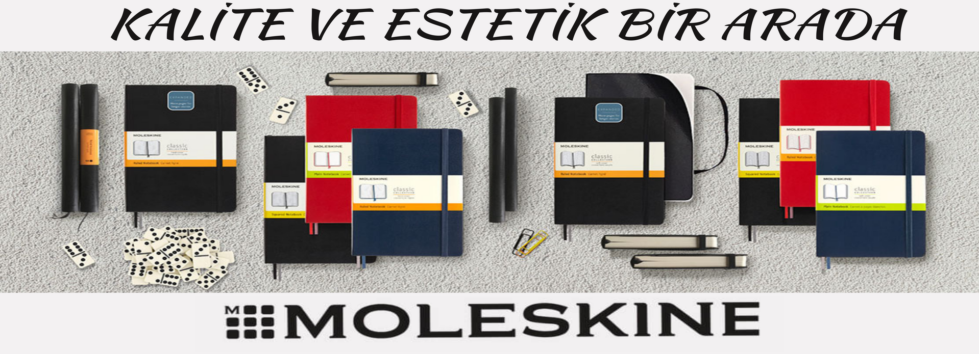 MOLESKİNE