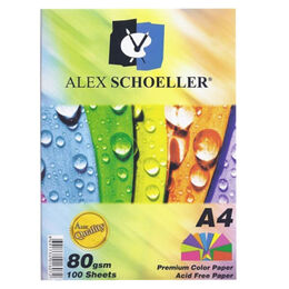 Alex Schoeller Fotokopi Kağıdı Renkli A4 80 Gr.10 Karışık Renk 100'Lü (ALX-779)