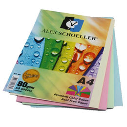 Alex Schoeller Fotokopi Kağıdı Renkli A4 80 Gr.Karışık Renk 50'Li (ALX-621) - 1
