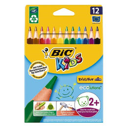 Bic Evolution Jumbo Üçgen Kuru Boya 12 Renk Karton Kutu (8297356)