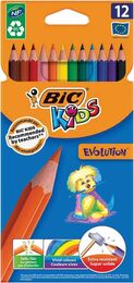 Bic Evolution Kuru Boya 12 Renk Karton Kutu (82902914)