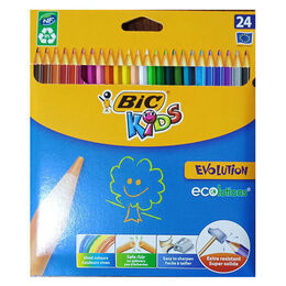 Bic Evolution Kuru Boya 24 Renk Karton Kutu (9375152) - 1