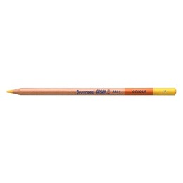 Bruynzeel Design Colour Pencils Kuru Boya Kalemi 19 Naples Yellow - Thumbnail