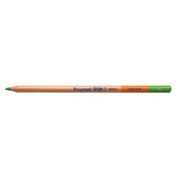 Bruynzeel Design Colour Pencils Kuru Boya Kalemi 60 Light Green - Thumbnail