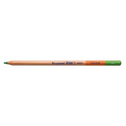 Bruynzeel Design Colour Pencils Kuru Boya Kalemi 60 Light Green - 1