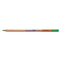 Bruynzeel Design Colour Pencils Kuru Boya Kalemi 66 Green - 1