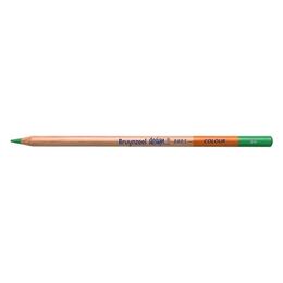 Bruynzeel Design Colour Pencils Kuru Boya Kalemi 66 Green
