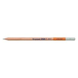 Bruynzeel Design Colour Pencils Kuru Boya Kalemi 88 Dull Cold Grey - Thumbnail