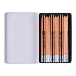 Bruynzeel Expression Graphite Dereceli Kalem Karakalem Eskiz Çizim Seti 12'li Metal Kutu - 2