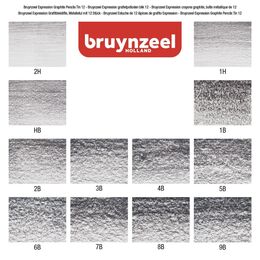 Bruynzeel Expression Graphite Dereceli Kalem Karakalem Eskiz Çizim Seti 12'li Metal Kutu - 3