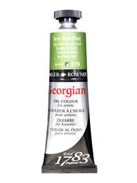 Daler Rowney Georgian Yağlı Boya 38 ml 379 Terre Verte Hue - 1
