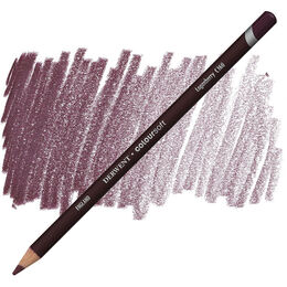Derwent Coloursoft Pencil Yumuşak Kuruboya Kalemi C160 Loganberry