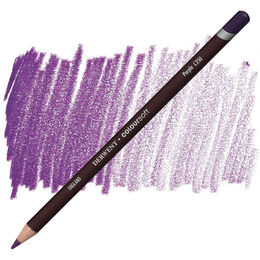 Derwent Coloursoft Pencil Yumuşak Kuruboya Kalemi C250 Purple