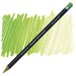 Derwent Procolour Kuru Boya Kalemi 49 GRASS GREEN