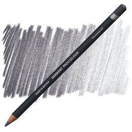 Derwent Procolour Kuru Boya Kalemi 67 GUNMETAL