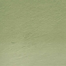 Derwent Tinted Charcoal Renkli Kömür Füzen Kalem TC15 Green Moss - 2