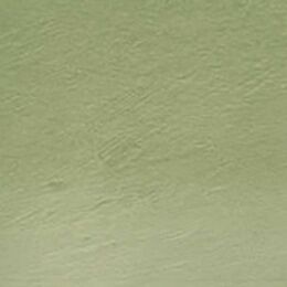 Derwent Tinted Charcoal Renkli Kömür Füzen Kalem TC15 Green Moss - 2