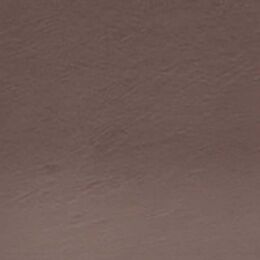 Derwent Tinted Charcoal Renkli Kömür Füzen Kalem TC18 Peat - 2