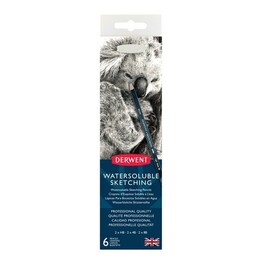 Derwent Watersoluable Sketching Pencils Suda Çözünebilen Çizim Kalemi Seti 6'lı Teneke Kutu - 2