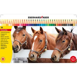 Eberhard Faber Kuru Boya Kalemi Seti 36 Renk Metal Kutu - Eberhard Faber