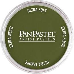 PanPastel Ultra Soft Artist Pastel Boya 220.1 Hansa Yellow Extra Dark - PanPastel