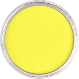 PanPastel Ultra Soft Artist Pastel Boya 220.5 Hansa Yellow - 2