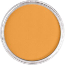 PanPastel Ultra Soft Artist Pastel Boya 270.5 Yellow Oxide - 2