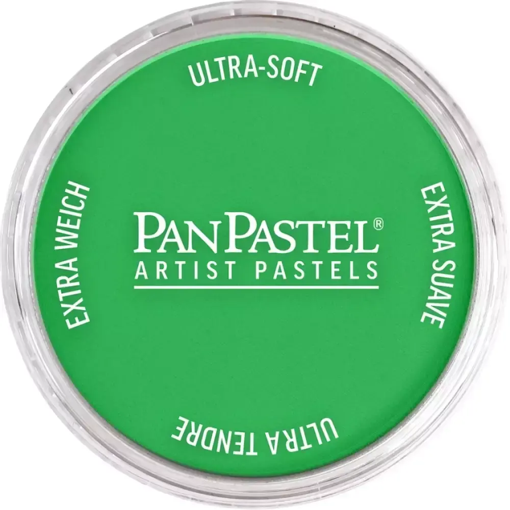 PanPastel Ultra Soft Artist Pastel Boya 640.5 Permanent Green