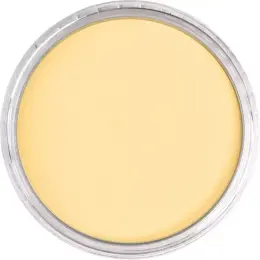 PanPastel Ultra Soft Artist Pastel Boya 910.5 Light Gold - 2