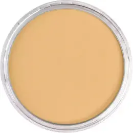 PanPastel Ultra Soft Artist Pastel Boya 911.5 Rich Gold - 2