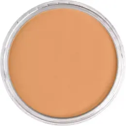 PanPastel Ultra Soft Artist Pastel Boya 930.5 Bronze - 2
