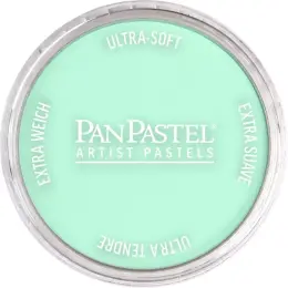 PanPastel Ultra Soft Artist Pastel Boya 956.5 Pearlescent Green - 1