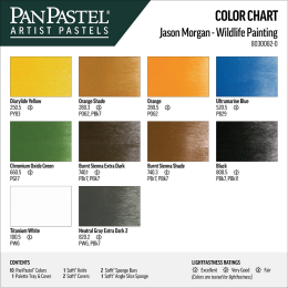 PanPastel Ultra Soft Pastel Boya Seti WILDLIFE PAINT J. MORGAN ST 10 Renk Vahşi Yaşam Tablosu - Jason Morgan Seti - 3