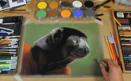 PanPastel Ultra Soft Pastel Boya Seti WILDLIFE PAINT J. MORGAN ST 10 Renk Vahşi Yaşam Tablosu - Jason Morgan Seti - 4
