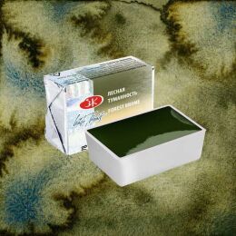 St. Petersburg White Nights Metamorphosis Tablet Sulu Boya 778 Forest Brume - 1