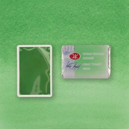 St. Petersburg White Nights Tam Tablet Sulu Boya 765 Cobalt Titanate Green - 2