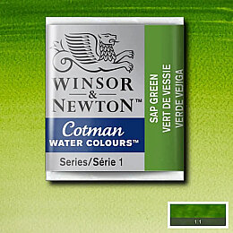 Winsor & Newton Cotman Yarım Tablet Sulu Boya 599 Sap Green - Winsor & Newton