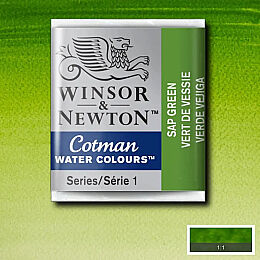 Winsor & Newton Cotman Yarım Tablet Sulu Boya 599 Sap Green - 1