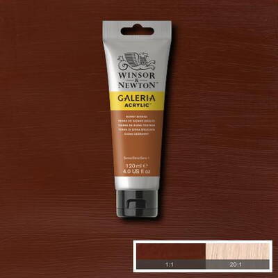 Winsor & Newton Galeria Akrilik Boya 120 ml. 074 Burnt Sienna