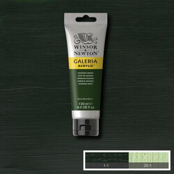 Winsor & Newton Galeria Akrilik Boya 120 ml. 311 Hooker's Green - Thumbnail