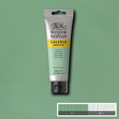 Winsor & Newton Galeria Akrilik Boya 120 ml. 435 Pale Olive