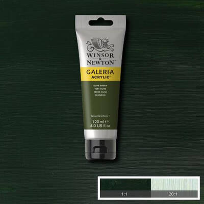 Winsor & Newton Galeria Akrilik Boya 120 ml. 447 Olive Green