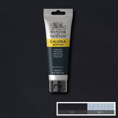 Winsor & Newton Galeria Akrilik Boya 120 ml. 465 Paynes Gray