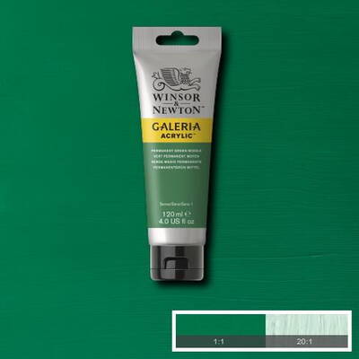 Winsor & Newton Galeria Akrilik Boya 120 ml. 484 Permanent Green Medium