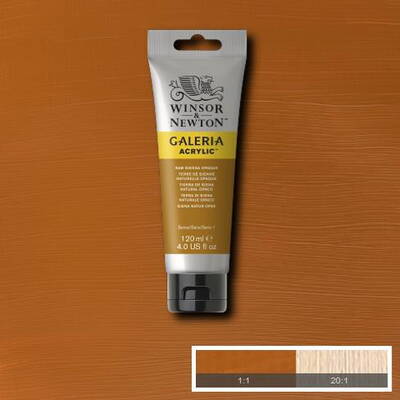 Winsor & Newton Galeria Akrilik Boya 120 ml. 553 Raw Sienna Opaque