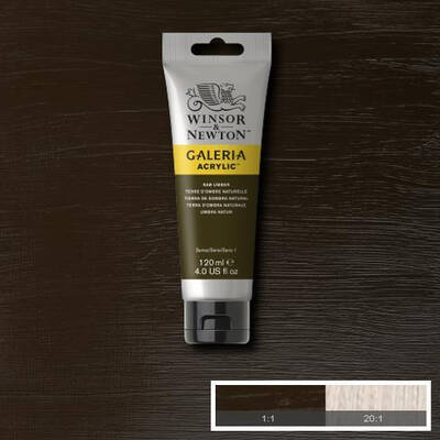 Winsor & Newton Galeria Akrilik Boya 120 ml. 554 Raw Umber