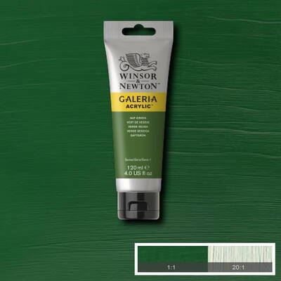 Winsor & Newton Galeria Akrilik Boya 120 ml. 599 Sap Green